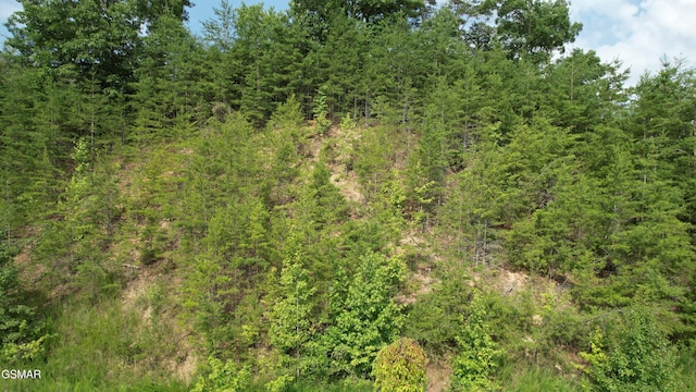 20-R/37-R Cherokee Valley Dr, Sevierville, TN 37862 - photo 11