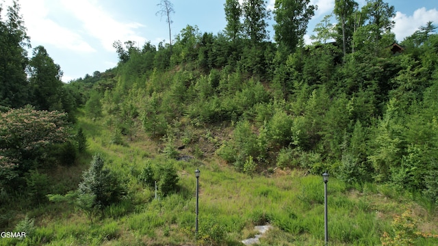 20-R/37-R Cherokee Valley Dr, Sevierville, TN 37862 - photo 13