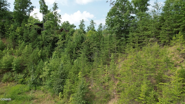 20-R/37-R Cherokee Valley Dr, Sevierville, TN 37862 - photo 16