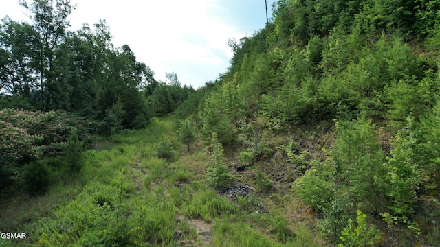 20-R/37-R Cherokee Valley Dr, Sevierville, TN 37862 - photo 22