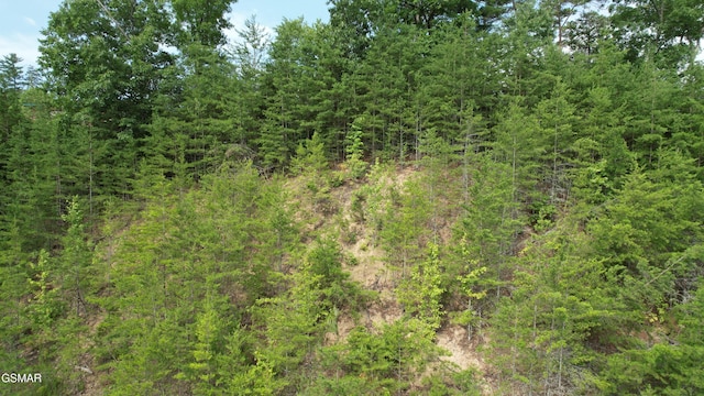 20-R/37-R Cherokee Valley Dr, Sevierville, TN 37862 - photo 15