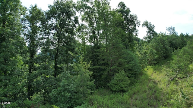 20-R/37-R Cherokee Valley Dr, Sevierville, TN 37862 - photo 30