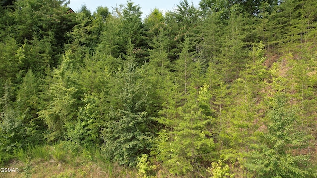20-R/37-R Cherokee Valley Dr, Sevierville, TN 37862 - photo 18