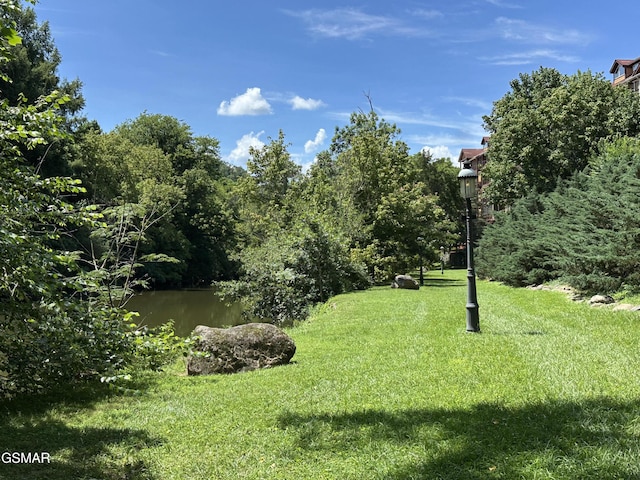 523 Apple View Way Unit 409, Sevierville, TN 37862 - view of grassy yard featuring a water view