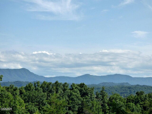 LOT32 Tranquility Trl, Dandridge, TN 37725