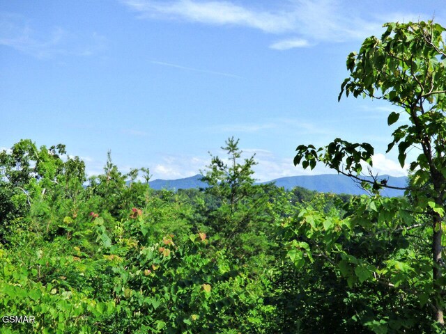 LOT32 Tranquility Trl, Dandridge, TN 37725