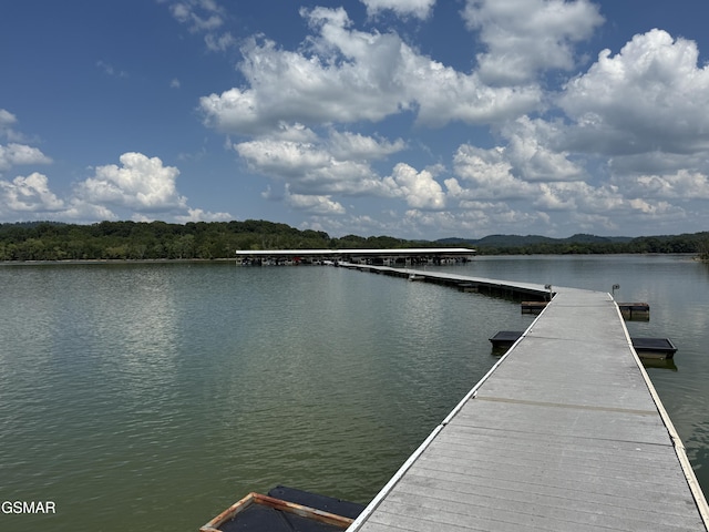 5011 Serenity Dr, Mooresburg, TN 37811 - photo 92