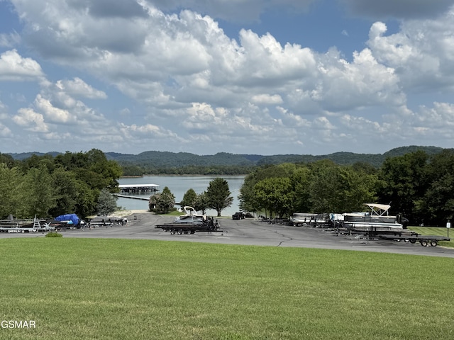 5011 Serenity Dr, Mooresburg, TN 37811 - photo 91