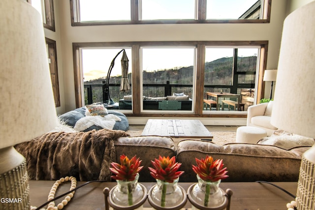 living area featuring a high ceiling and a healthy amount of sunlight