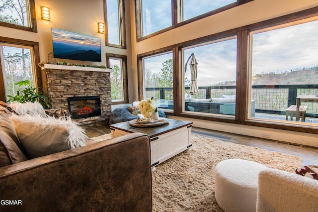 living area with wood finished floors, a fireplace, and a wealth of natural light