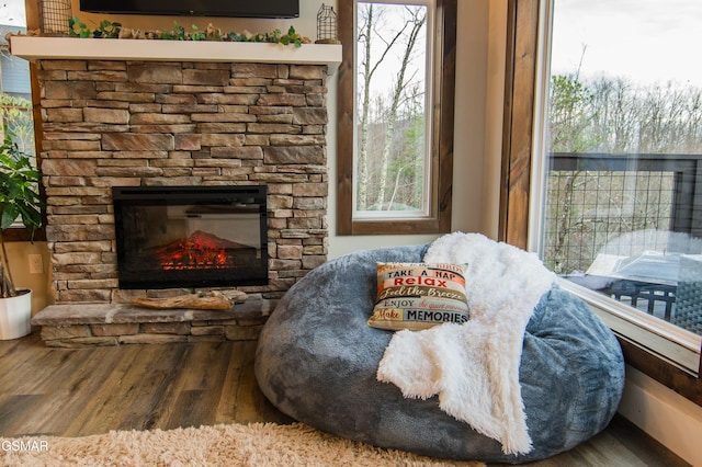 living area featuring a stone fireplace, wood finished floors, and a healthy amount of sunlight