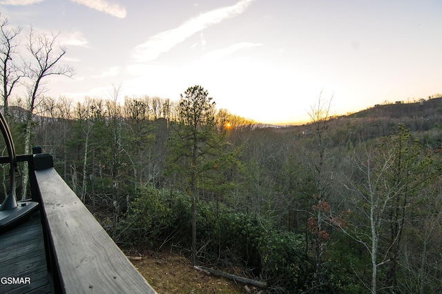 mountain view with a forest view
