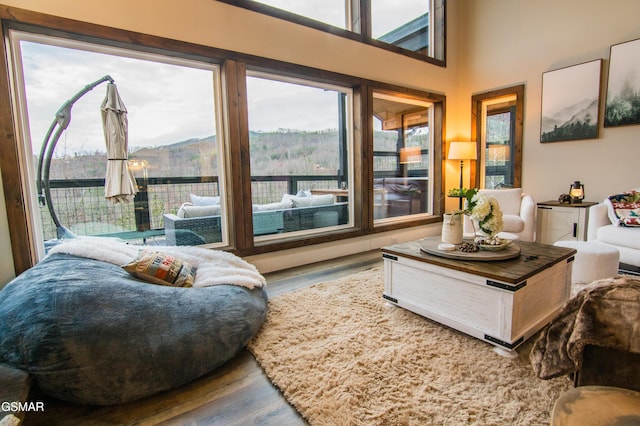 living room featuring wood finished floors and a mountain view