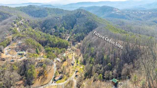 property view of mountains