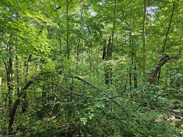 Listing photo 3 for LOT10 Kristina Way, Sevierville TN 37862