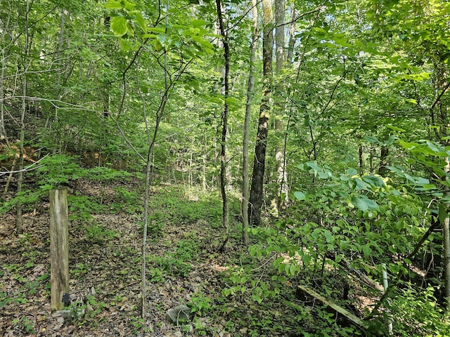 LOT10 Kristina Way, Sevierville TN, 37862 land for sale