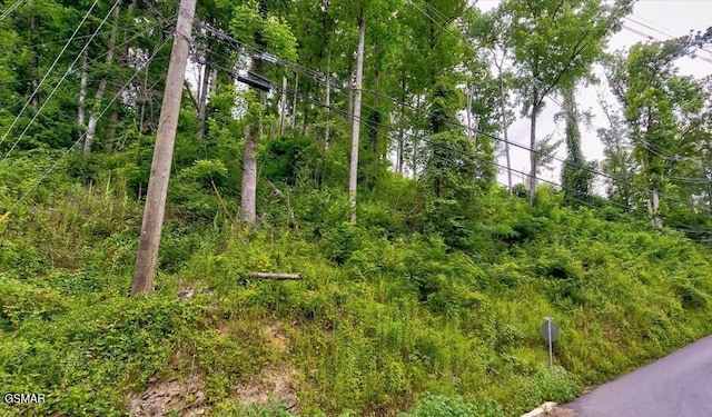 329 Silverbell Ln, Gatlinburg, TN 37738 - photo 4