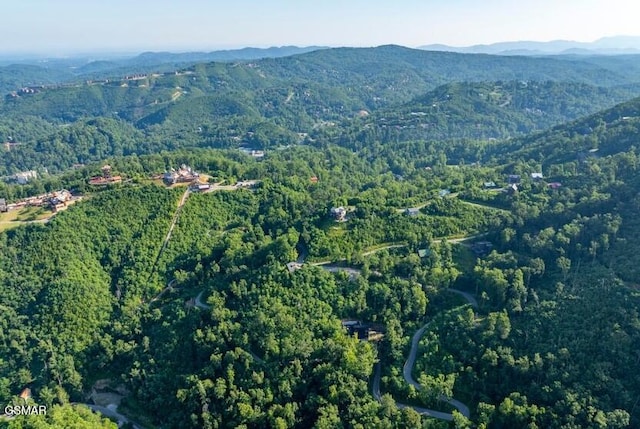329 Silverbell Ln, Gatlinburg, TN 37738 - photo 6