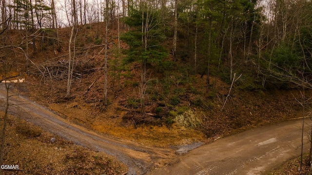 Listing photo 2 for LOT34-A Spurling Rd, Sevierville TN 37862