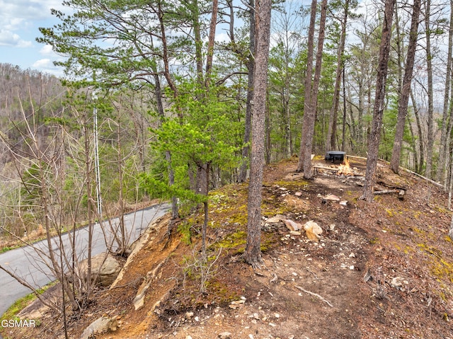 view of local wilderness with a wooded view