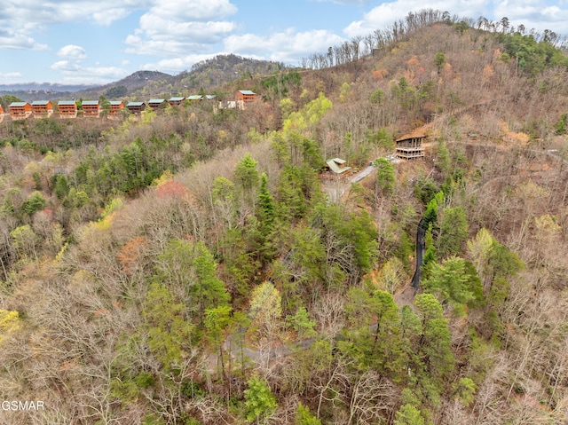 view of mountain feature