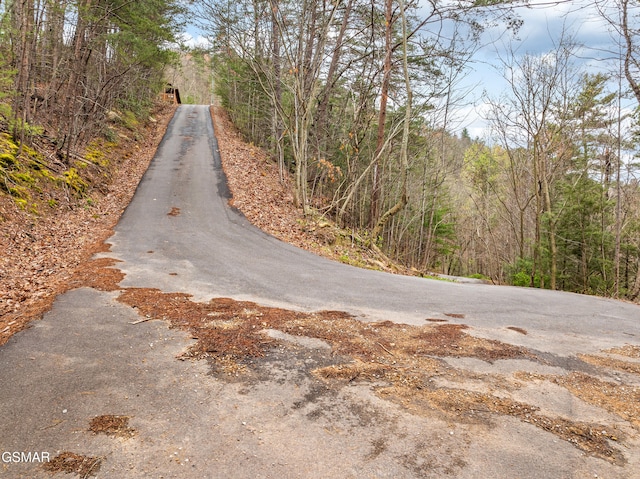 view of street with a forest view