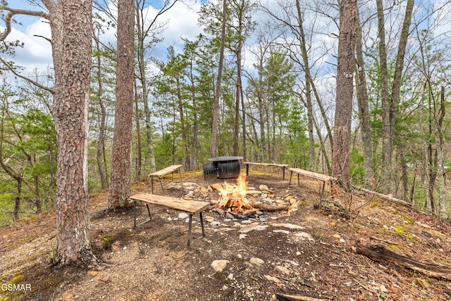 view of yard featuring a fire pit