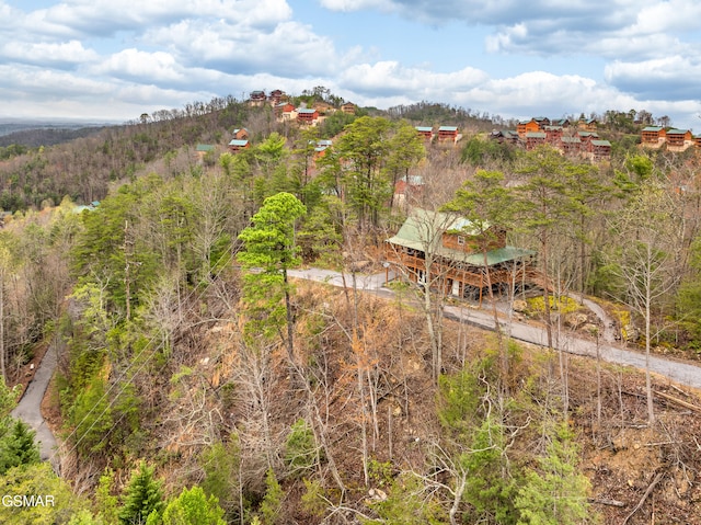 aerial view with a forest view