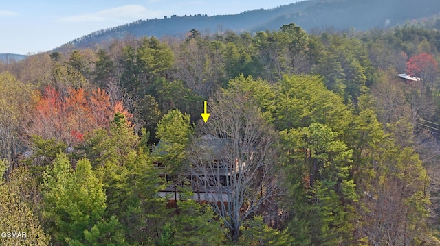3430 Laurel Ridge Way, Sevierville, TN 37862 - view of mountain background featuring a heavily wooded area