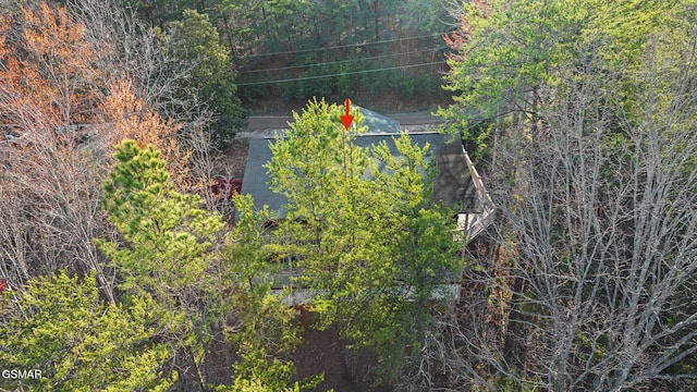 3430 Laurel Ridge Way, Sevierville, TN 37862 - exterior view of a forest