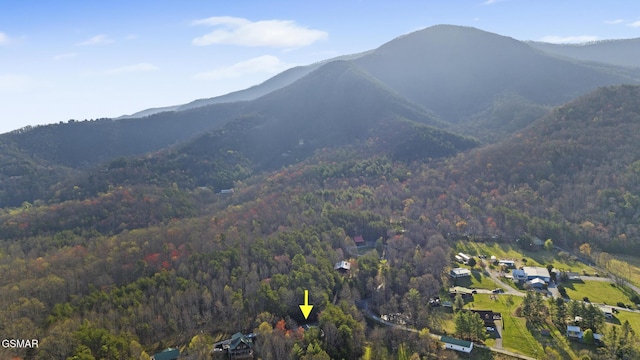 3430 Laurel Ridge Way, Sevierville, TN 37862 - view of mountain background featuring a forest