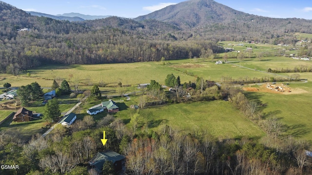 3430 Laurel Ridge Way, Sevierville, TN 37862 - view of mountain background with rural landscape and a forest