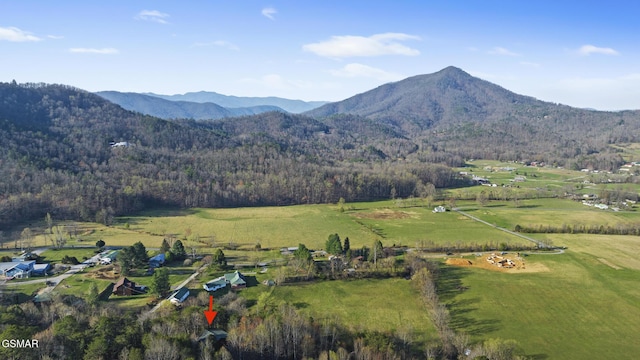 3430 Laurel Ridge Way, Sevierville, TN 37862 - mountain view featuring rural landscape and a forest