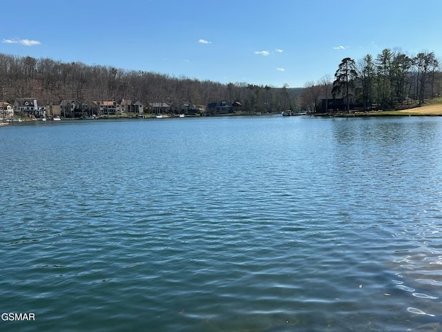 20 Brixton Ln, Crossville, TN 38555 - water view