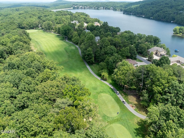 20 Brixton Ln, Crossville, TN 38555 - aerial view of a large body of water, a local golf course, and a forest