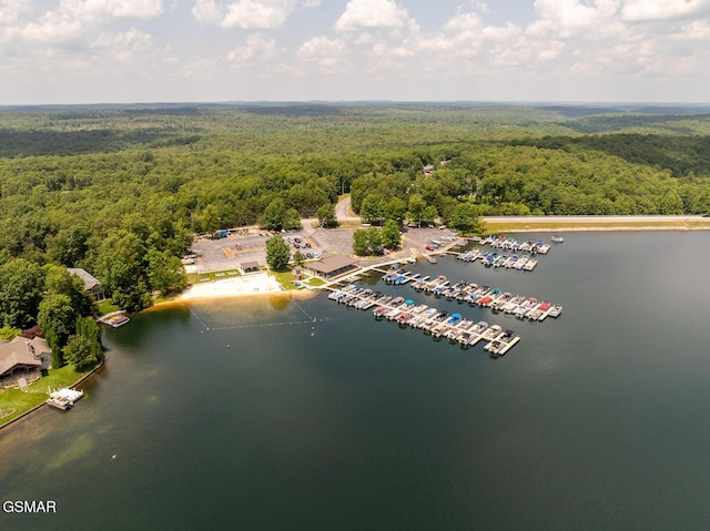 20 Brixton Ln, Crossville, TN 38555 - aerial view of a forest and a nearby body of water