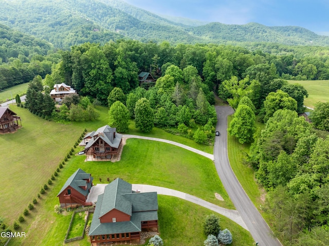 3391 Clear Valley Dr, Sevierville, TN 37862 - aerial view of a forest and mountains