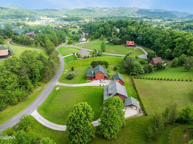 3391 Clear Valley Dr, Sevierville, TN 37862 - bird's eye view of mountains
