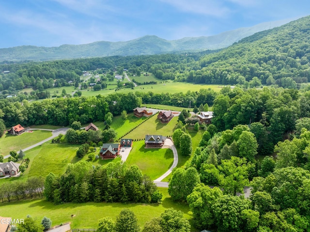 3391 Clear Valley Dr, Sevierville, TN 37862 - aerial view of a mountainous background