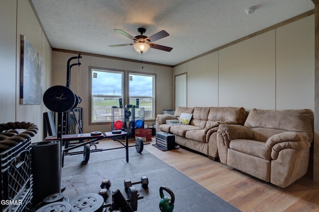 living area featuring a textured ceiling, ceiling fan, ornamental molding, and light wood-type flooring