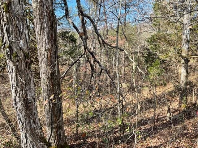 LOT71 Happy Hollow Ln, Sevierville, TN 37876 - photo 6