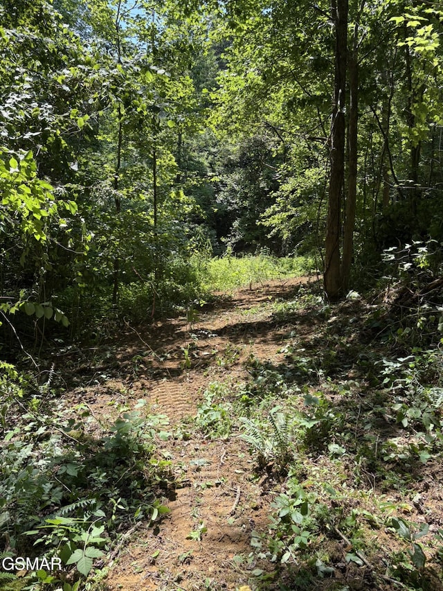 LOT71 Happy Hollow Ln, Sevierville, TN 37876 - photo 9