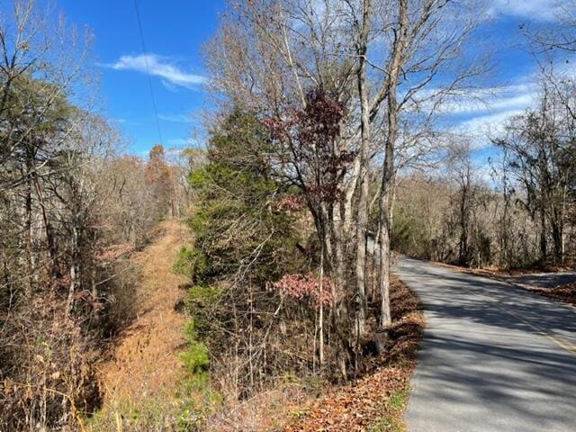 LOT71 Happy Hollow Ln, Sevierville, TN 37876 - photo 3