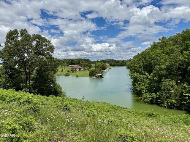 LOTS1 Fry Hill Rd, Dandridge, TN 37725 - photo 1