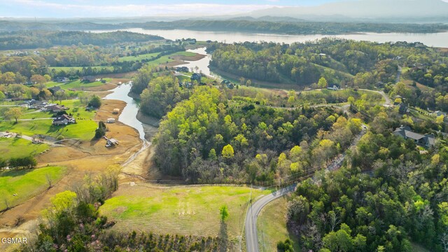 LOTS1 Fry Hill Rd, Dandridge, TN 37725 - photo 20