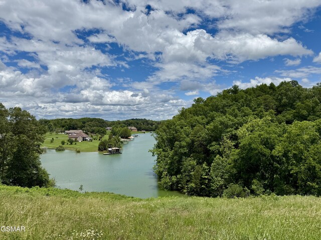 LOTS1 Fry Hill Rd, Dandridge, TN 37725 - photo 4