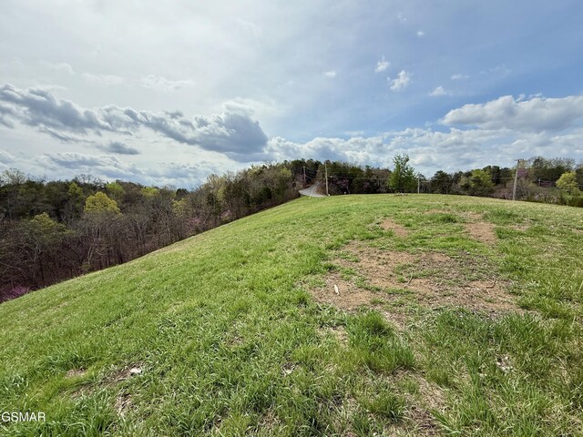 LOTS1 Fry Hill Rd, Dandridge, TN 37725 - photo 11