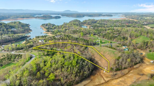LOTS1 Fry Hill Rd, Dandridge, TN 37725 - photo 3