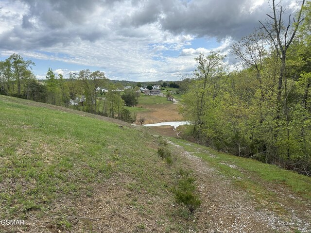 LOTS1 Fry Hill Rd, Dandridge, TN 37725 - photo 24