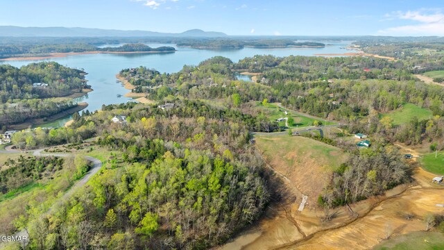 LOTS1 Fry Hill Rd, Dandridge, TN 37725 - photo 22
